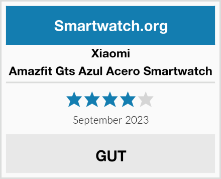 Xiaomi Amazfit Gts Azul Acero Smartwatch Test